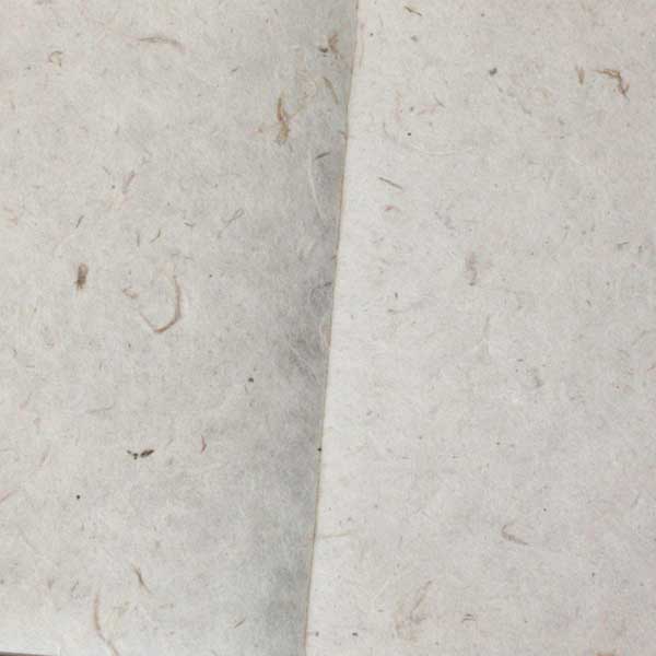 Papier Geldhane" Tradition" de luxe